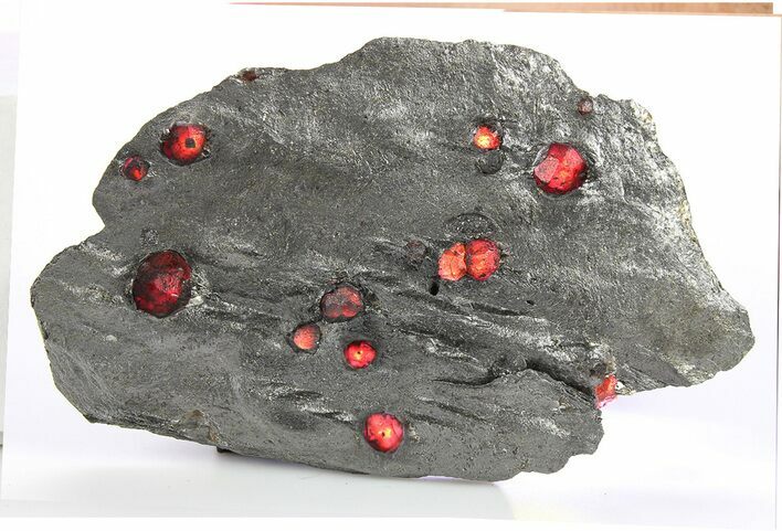 Plate of Nine Red Embers Garnets in Graphite - Massachusetts #272707